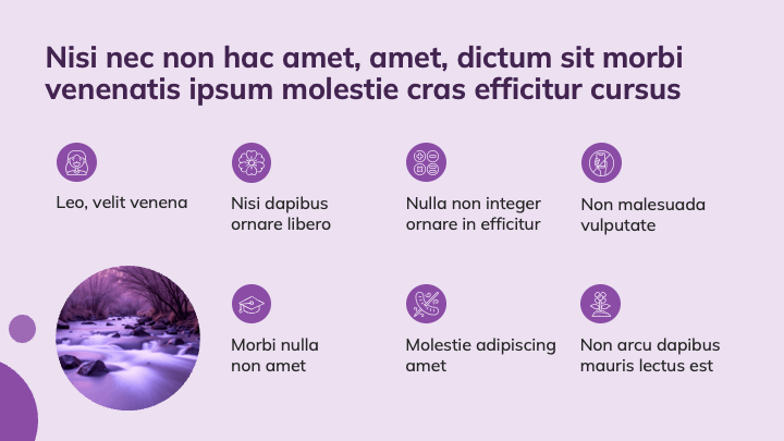 Bold Circle Violet slide 8